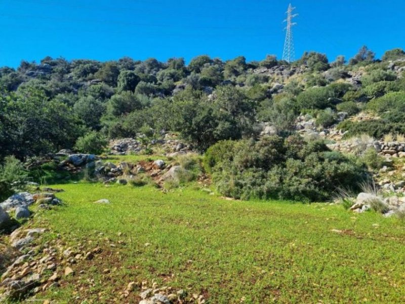 Ammoudara bei Agios Nikolaos MIT VIDEO: Kreta, Ammoudara bei Agios Nikolaos : Baugrund mit Meerblick in Stadt- und Strandnähe zu verkaufen Grundstück